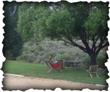 Bullberry Inn Bed & Breakfast Tropic Bagian luar foto